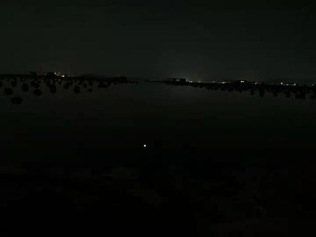 白天如何避小鱼钓到大真鲷?海钓技巧