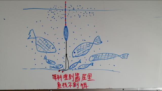 黑坑水底状态酱层，它到底是什么？