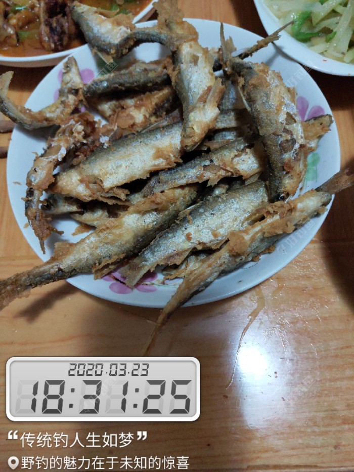 2020野钓系列之二十九星漂流拉白条，油炸好味道