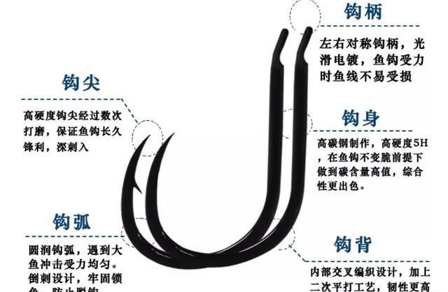钓青鱼大物鱼钩的选择有何注意点,如何正确的去选择