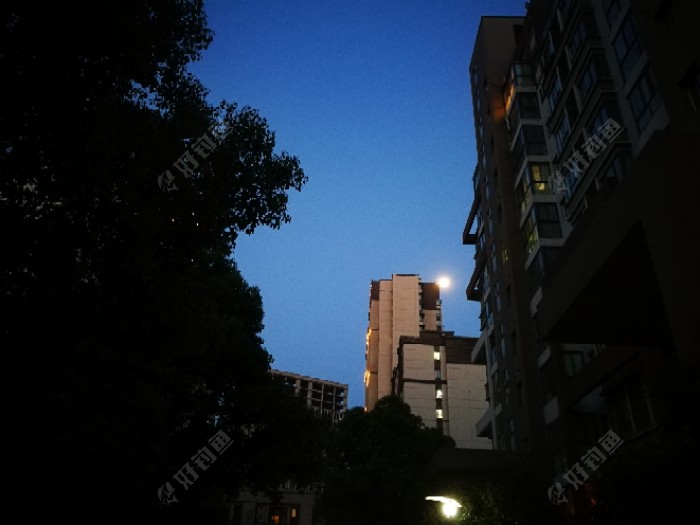 遭板鲫抛弃,移情恋大青
