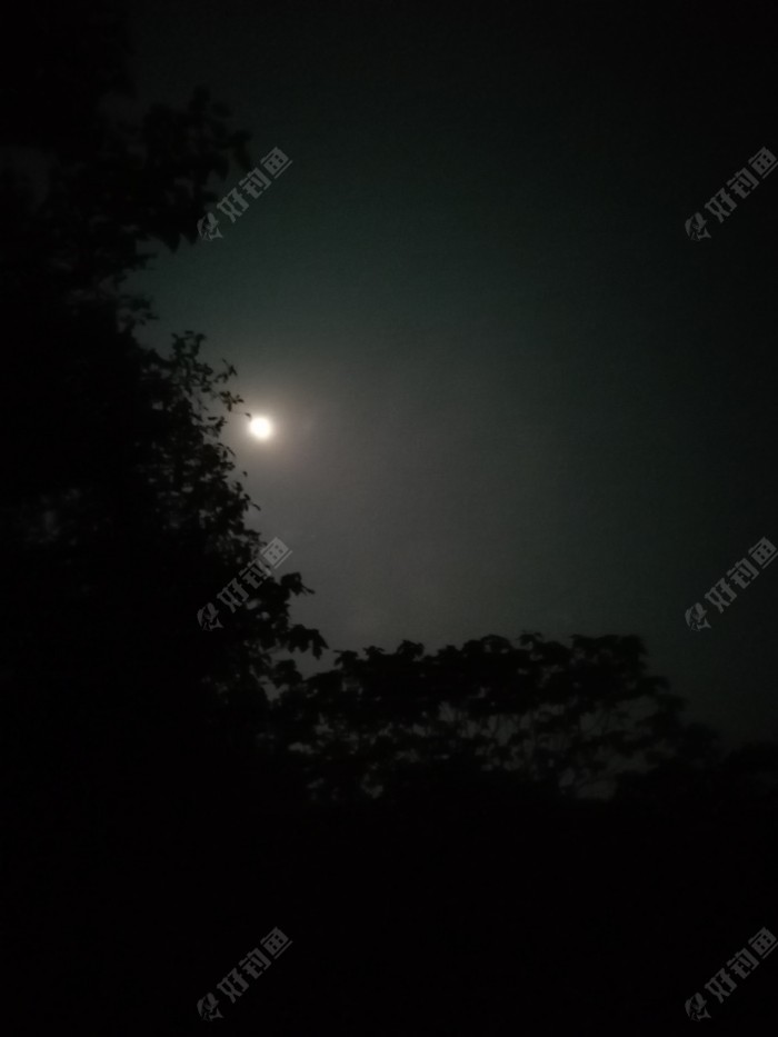 三顾寒婆岭，不见鲫鱼影