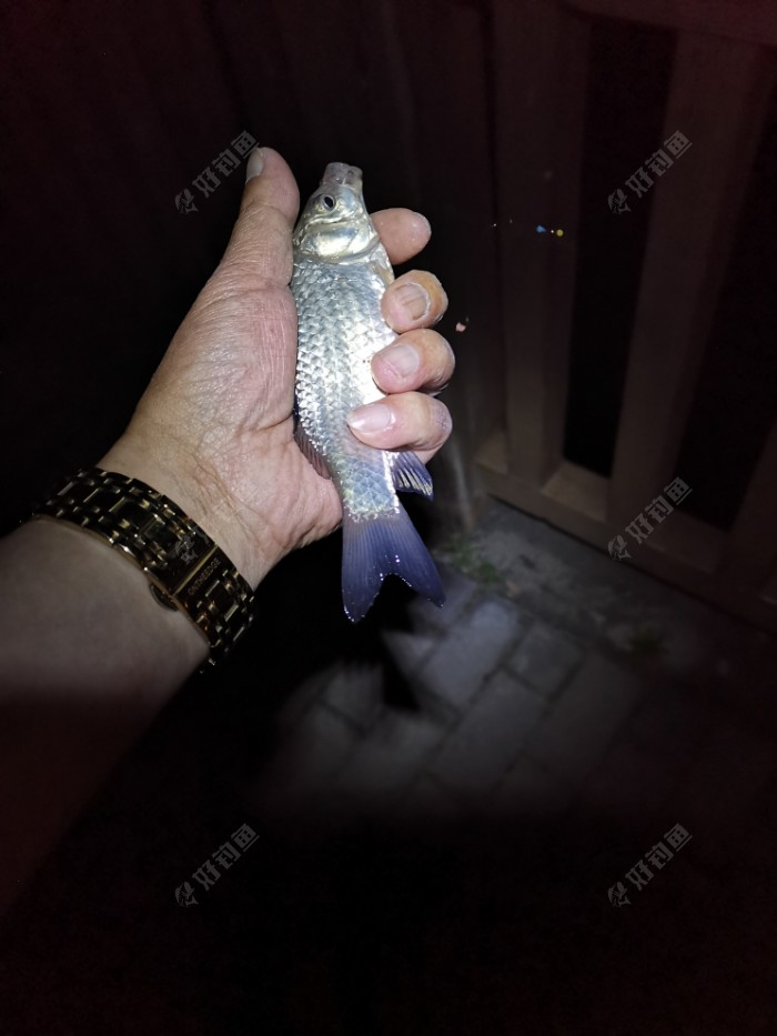 泫云天短竿开光 遭遇大货秒切线