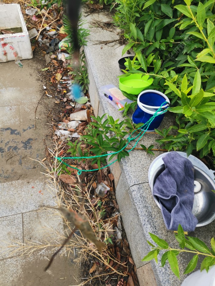 连续好天气，专家说非常适宜钓鱼，鱼获全是白条