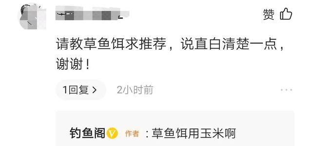 钓草鱼最好的饵料?老钓友告诉你就地取材才是最有效的