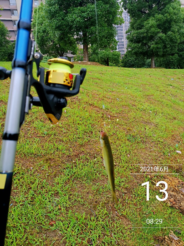 路亚黑鱼亮片餐 前零后一闹笑话
