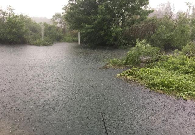 暴雨过后黄辣丁疯狂咬钩,两根鱼竿根本来不及
