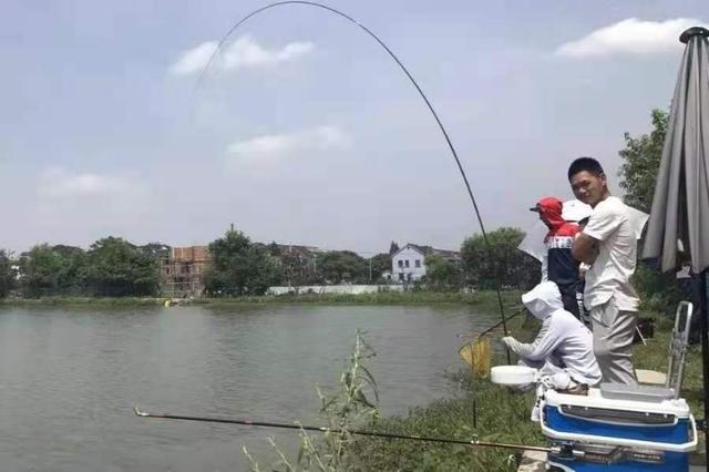 天气热,不是鳊鱼不好钓,只因你没按套路出牌
