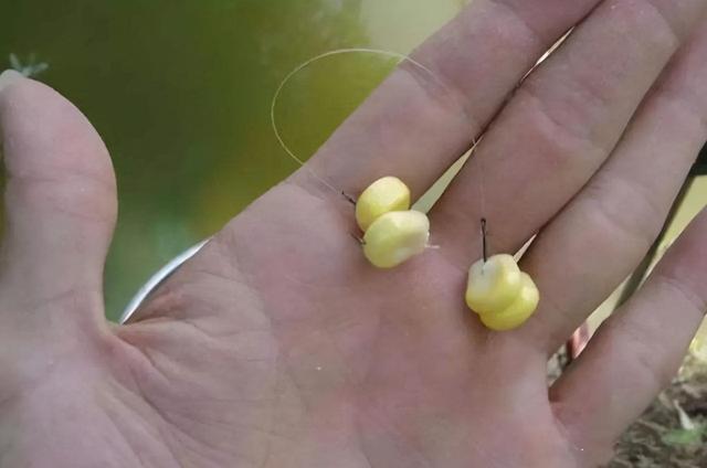 鱼钩的钩尖是露出来好一些，还是藏在饵料里好一些？